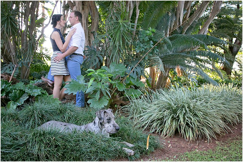 couple with a great dane