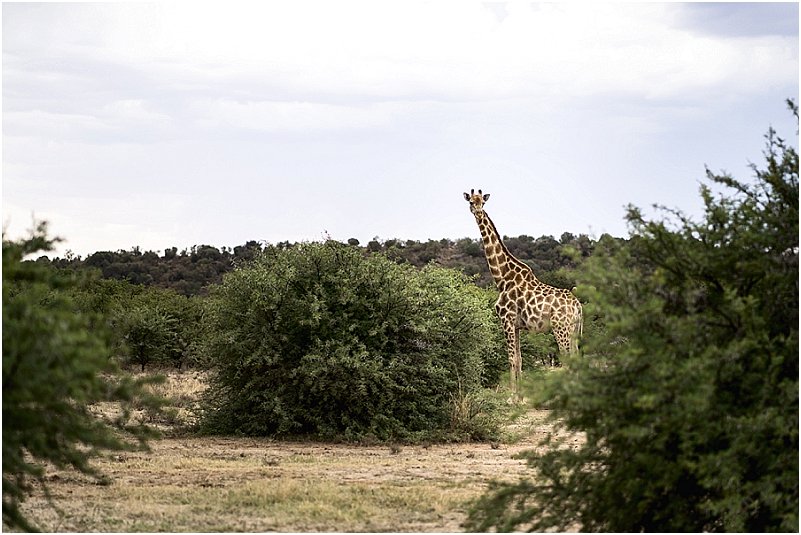 wedding venues bloemfontein