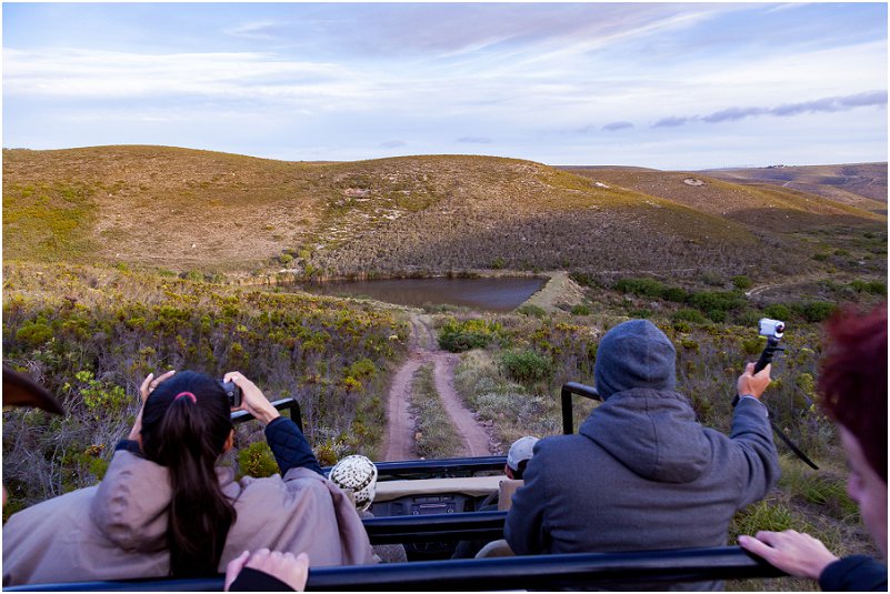 game reserves in south africa