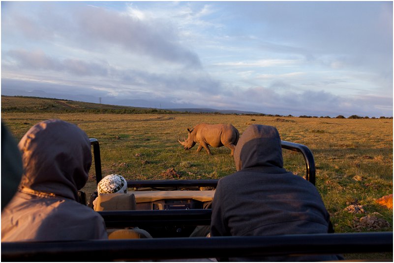 gondwana game reserve Rhinoceros