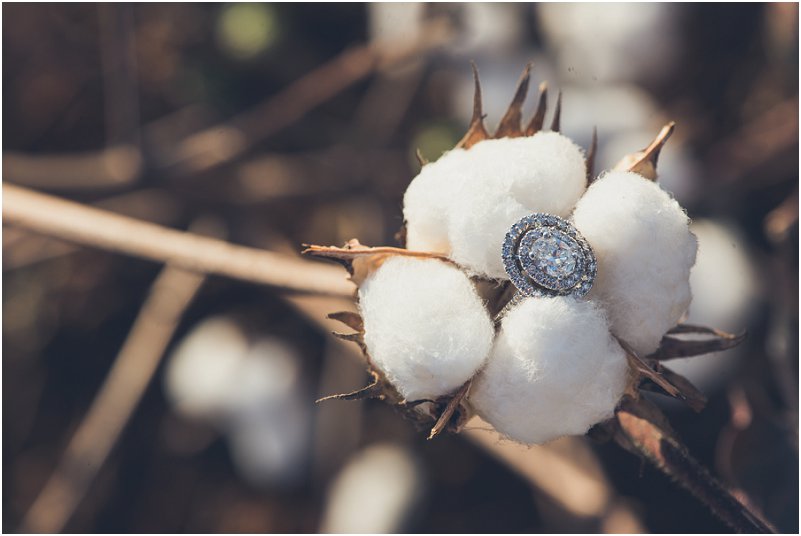 cotton field engagement pictures