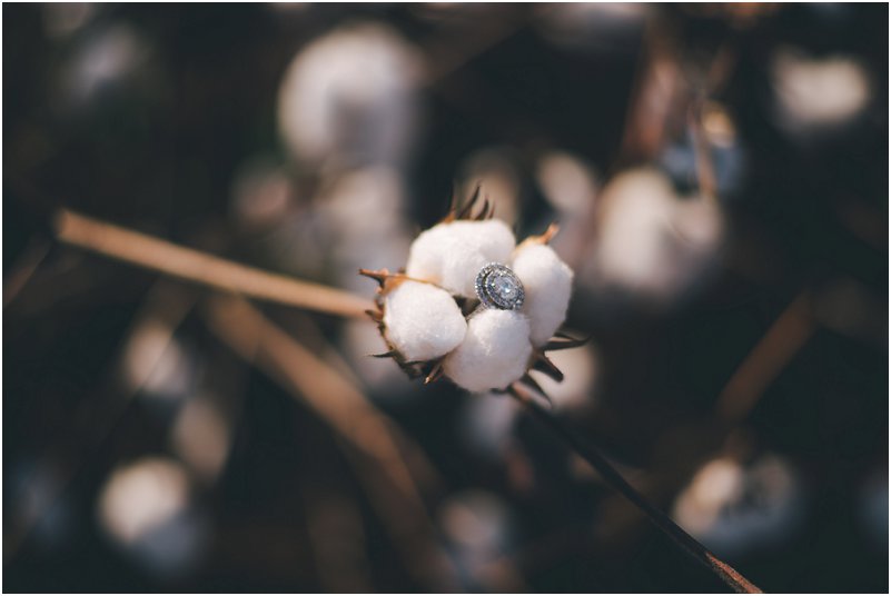 cotton field engagement pictures