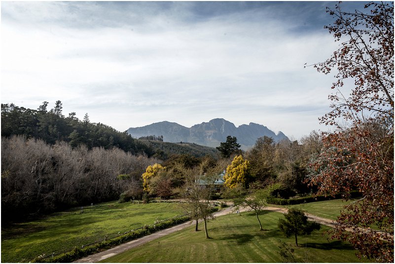 towerbosch wedding