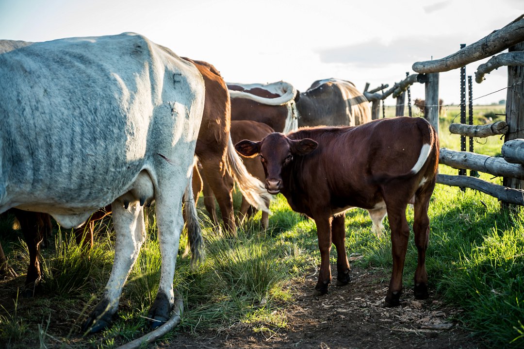 farm engagement