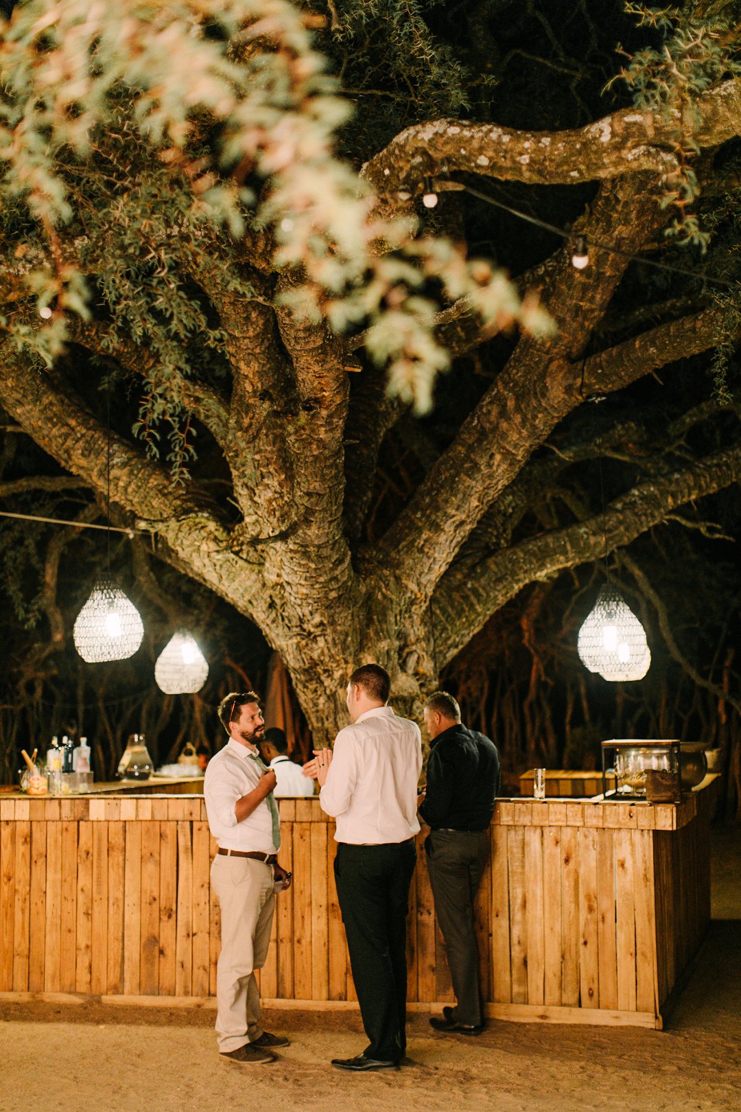 bushveld wedding