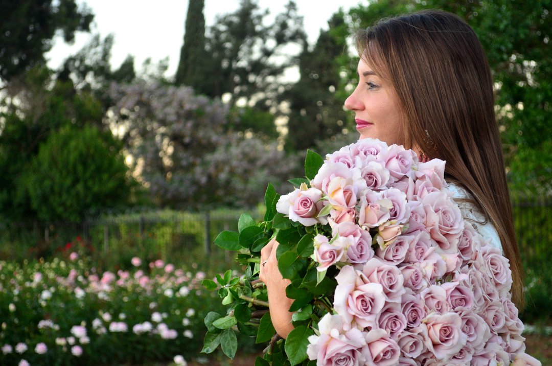 roses for wedding