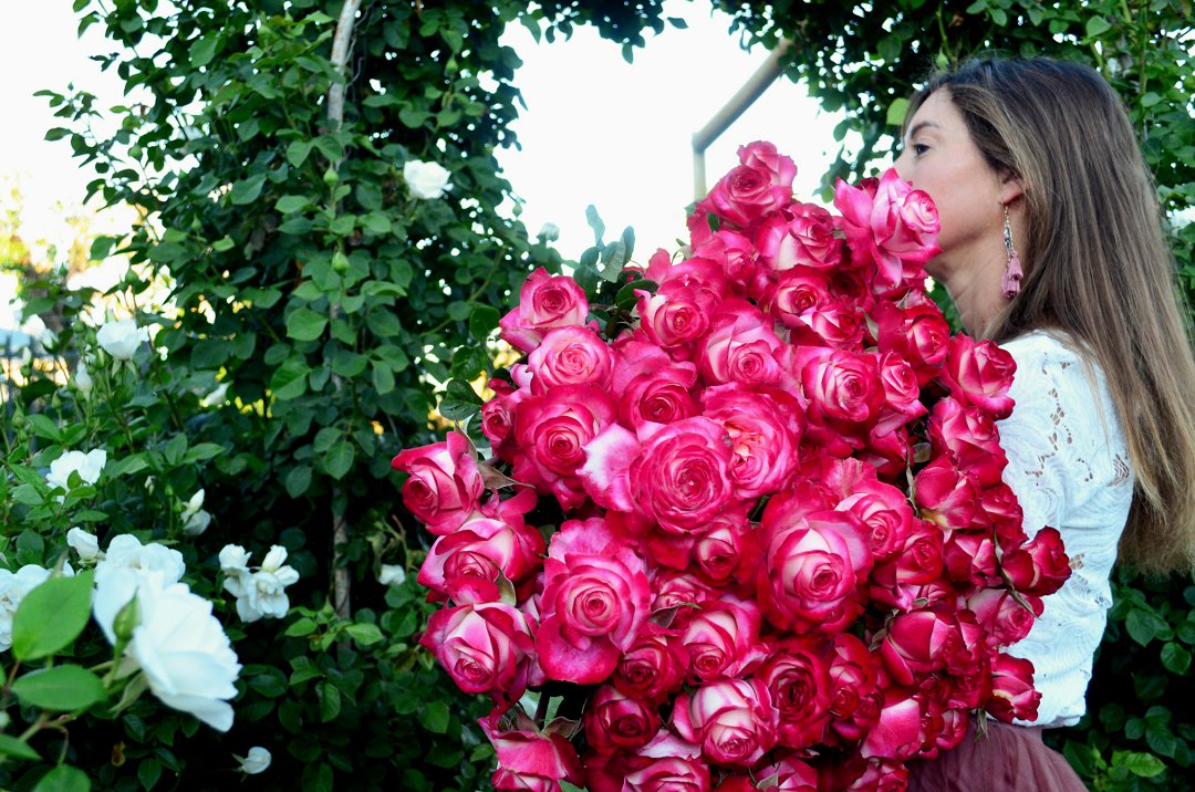 roses for wedding