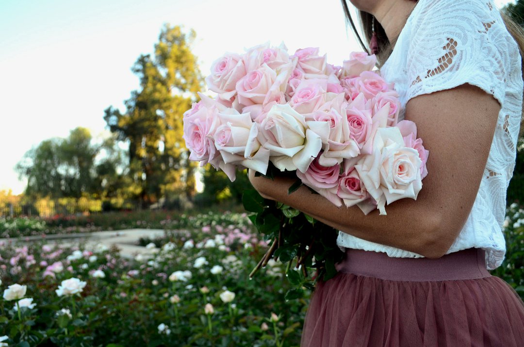 roses for wedding