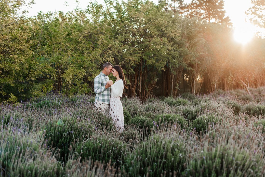 lavender field engagement shoot