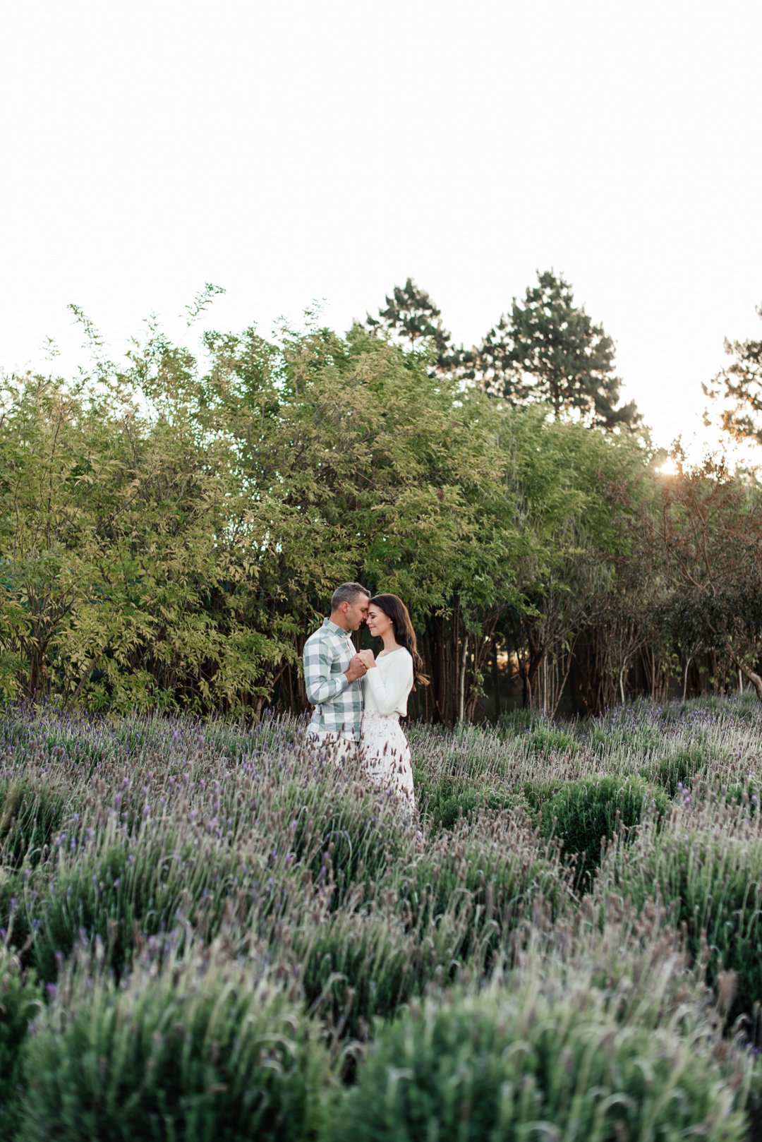 lavender field engagement shoot