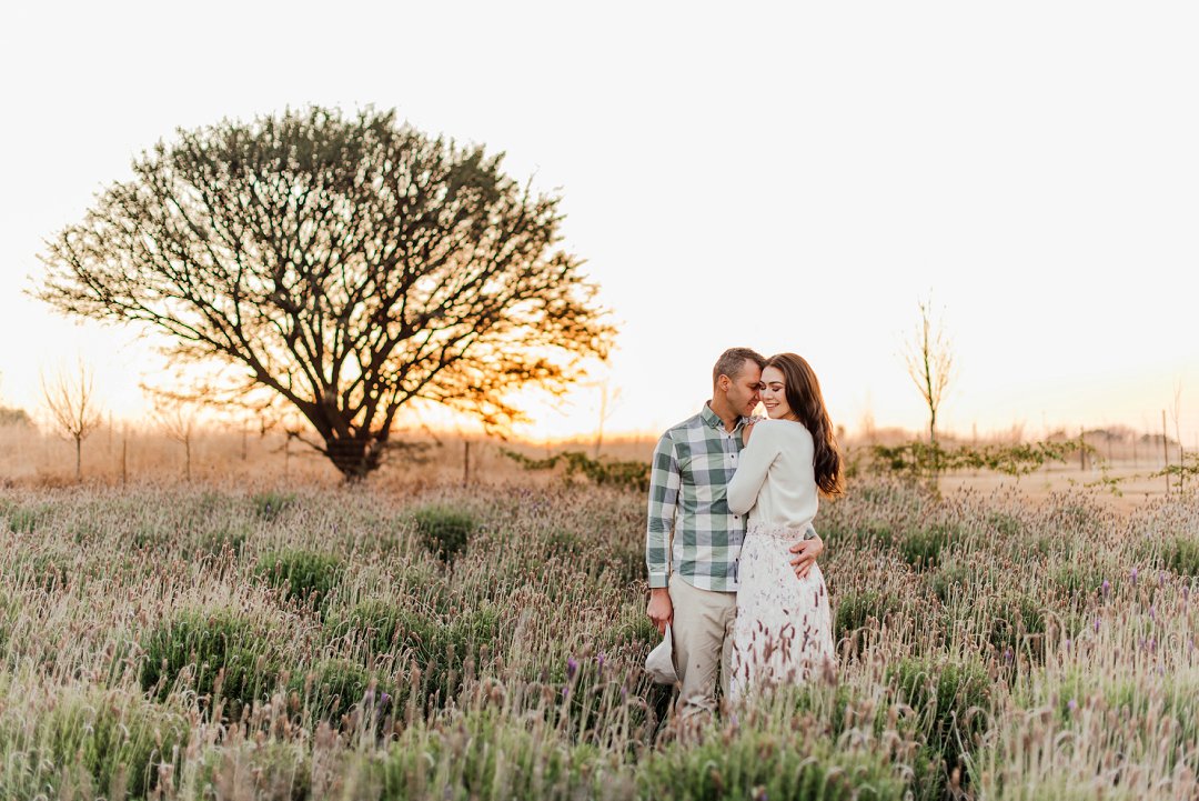 lavender field engagement shoot