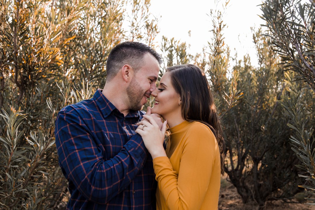 engagement photos between proteas