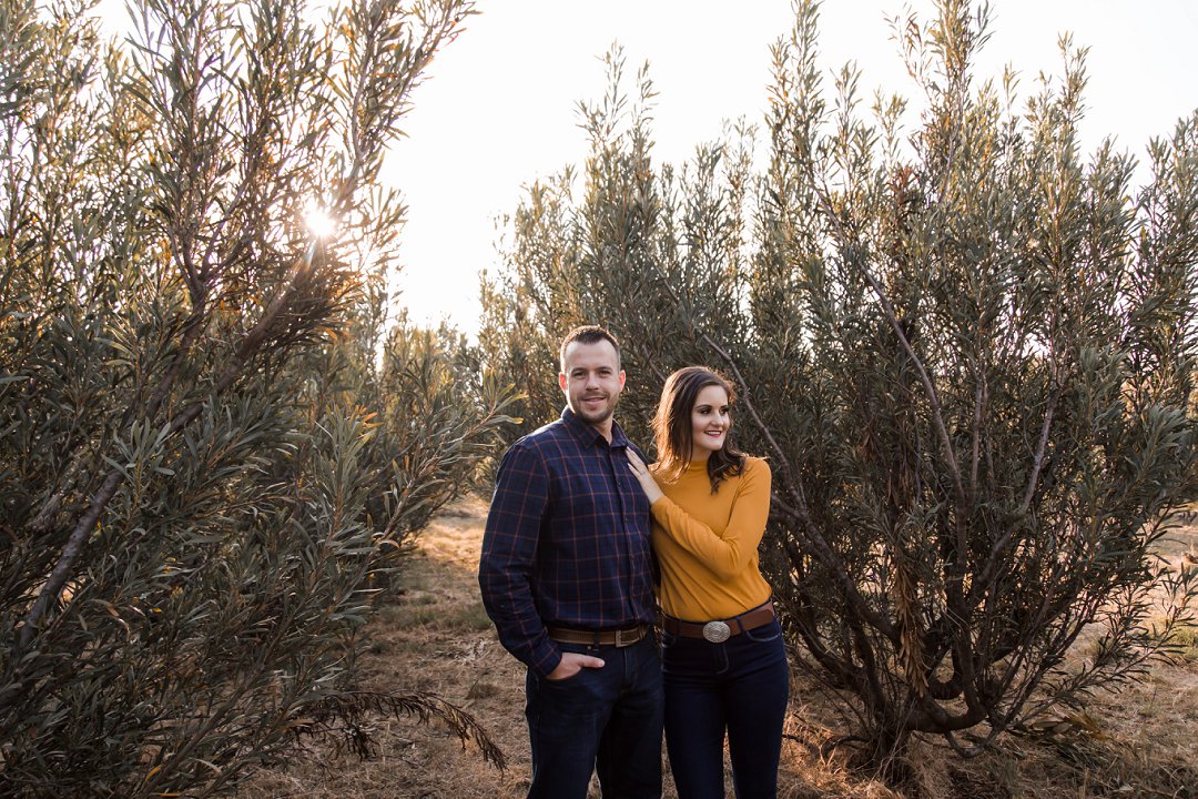 engagement photos between proteas