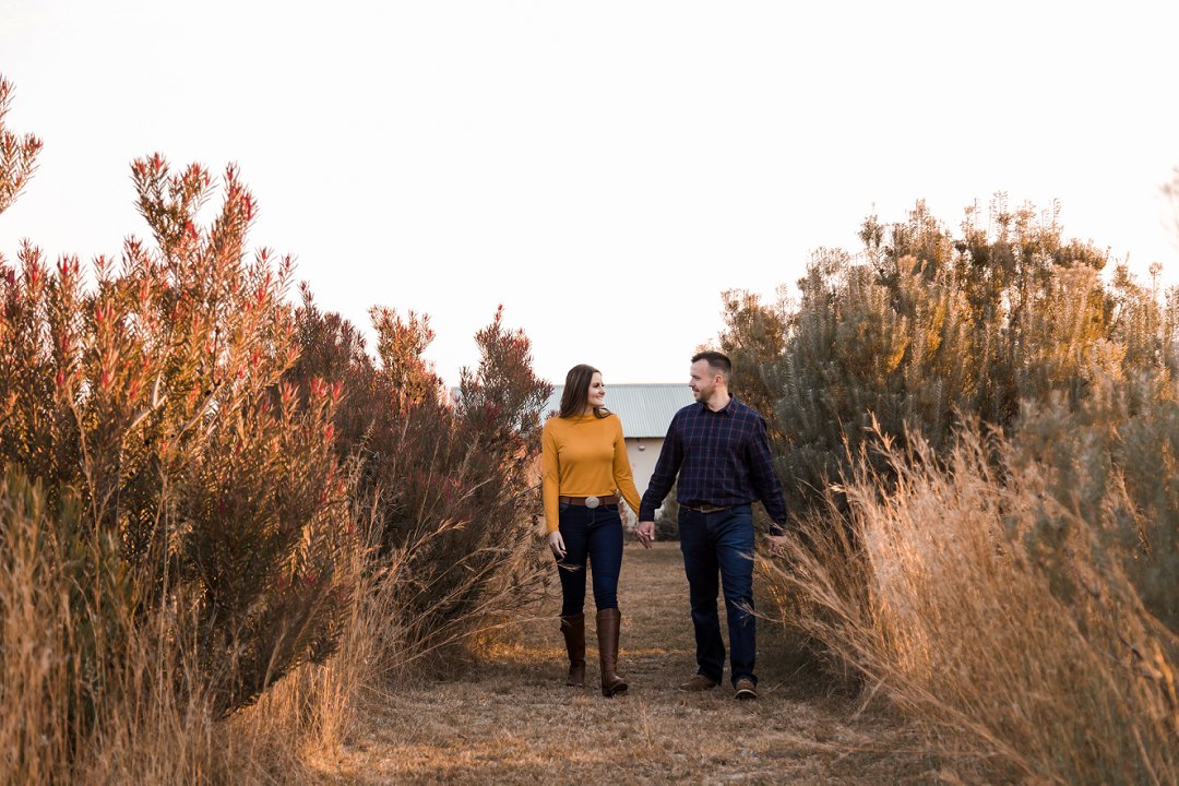 engagement photos between proteas