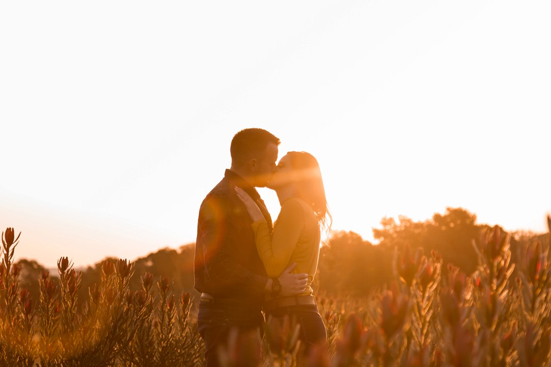 engagement photos between proteas