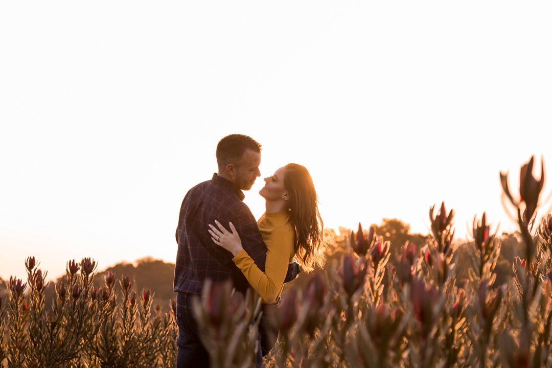 engagement photos between proteas